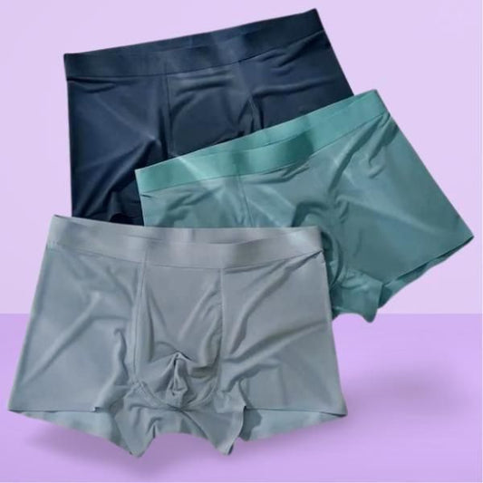 Men's Ice Silk Briefs Boxers (Pack of 3) ekmkfy-ae